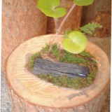 img_goods01